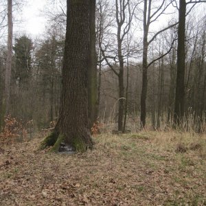 ZdenkaV on the summit of Baginec (27.3.2025 11:43)
