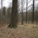 ZdenkaV on peak Baginec (27.3.2025)