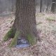 ZdenkaV on peak Baginec (27.3.2025)