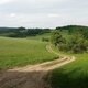 Jiřina na vrcholu Na Vrších (5.5.2024)