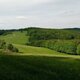 Jiřina na vrcholu Na Vrších (5.5.2024)