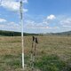 Radka D na vrcholu Na Vrších (8.9.2024)