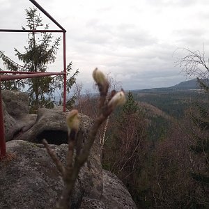 Dolfa na vrcholu Božanovský Špičák (13.4.2020 17:35)