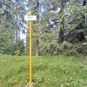 Jirka Zajko on the summit of Tobolovci (21.6.2025 10:56)
