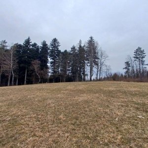 PA!WELL na vrcholu Vrchhůra SV (23.2.2025 9:54)