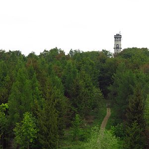 Iveta Válová na vrcholu Hochwald (10.6.2020 10:15)