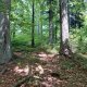 Ila na vrcholu Zadni Groń