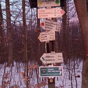 Milda on the summit of U Slepice (11.1.2026 16:34)