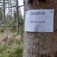 Mykas na vrcholu Šindelná