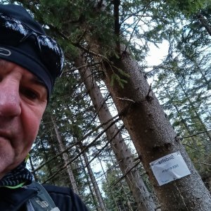 Li Be na vrcholu Šindelná (22.3.2026 12:13)