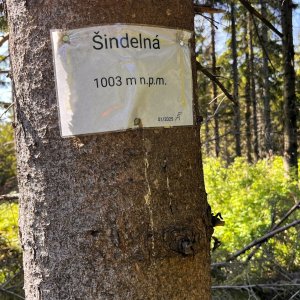 Jiřka Niedobová na vrcholu Šindelná (29.5.2026 14:00)