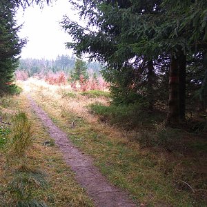 Sparkler na vrcholu Šindelná (15.11.2018 11:57)