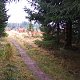 Sparkler na vrcholu Šindelná (15.11.2018 11:57)