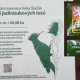 Jiřina na vrcholu Velký Špičák (6.8.2023)