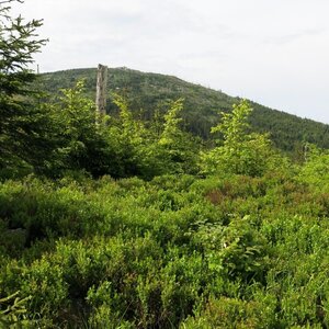 ZdenkaV na vrcholu Buchenwald (27.5.2024 16:21)