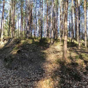 Vratislav Sejkora on the summit of Midnight Slope (20.3.2025 14:45)