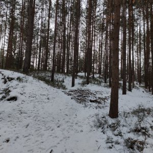 Vratislav Sejkora on the summit of Midnight Slope (8.1.2026 14:34)