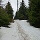 Nojby na vrcholu Blatenský vrch (1.5.2021 16:41)