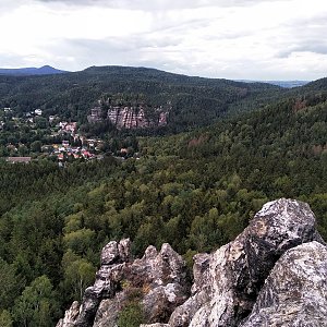 Badger na vrcholu Scharfenstein (24.8.2020 16:55)