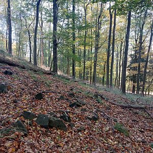 Cyklista 73 na vrcholu Hřebec (7.10.2022 8:38)