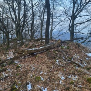 Pavel Vohryzka on the summit of Hřebec (8.2.2025 10:16)