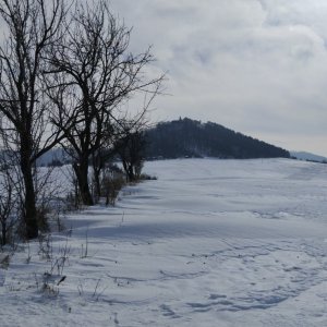 BILI on the summit of Sýkořince (20.2.2026 12:04)