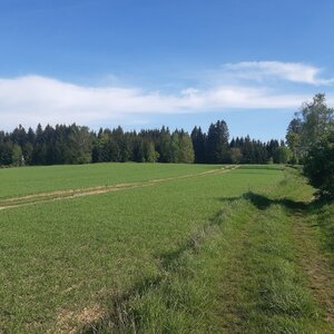 Michaela Hilscherová na vrcholu Velký kopec (9.5.2024 16:45)