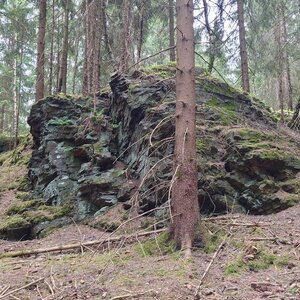 Nojby na vrcholu Bärskamm (16.5.2024 14:20)