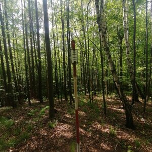 Zdena Trommler na vrcholu Tichavská hůrka Z (13.5.2023 10:58)