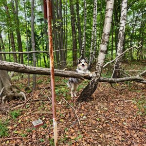 Jiří Králík na vrcholu Tichavská hůrka Z (5.10.2025 10:55)