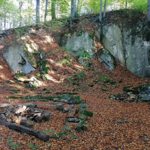 Zdena Trommler na vrcholu Větřkovická hůrka (25.10.2023 16:16)
