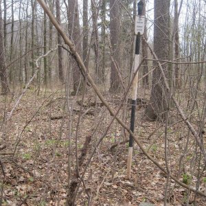 ZdenkaV na vrcholu Větřkovická hůrka (21.3.2026 13:06)