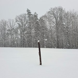 Petr Pepe Peloušek na vrcholu Živičky (13.2.2021 15:57)