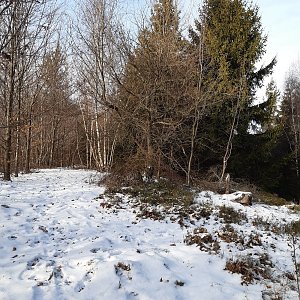 ZdenkaV na vrcholu Rochlená (9.1.2022 11:24)