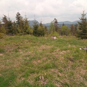 Dolfa na vrcholu Široký vrch (15.5.2020 11:29)