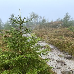Martin Matějka na vrcholu Magurka Radziechowska (23.9.2023 14:06)