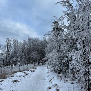 akam na vrcholu Čerňava (8.2.2025 15:22)