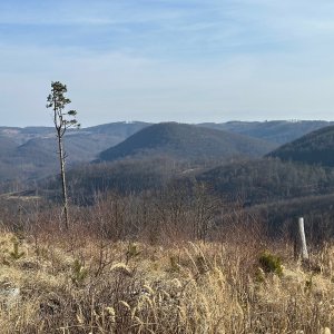 akam na vrcholu Obřany (8.2.2025 11:45)