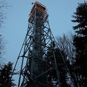 Bizon on the summit of Kraví hora (14.1.2023)