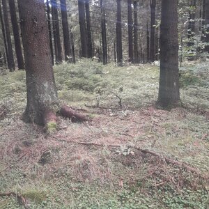 Milton na vrcholu Bouda JV (11.9.2024 13:55)
