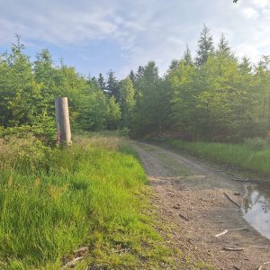 Cyklista 73 na vrcholu Zdislavský Špičák (19.6.2025 6:56)