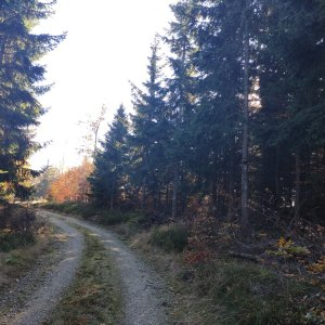 Vratislav Sejkora na vrcholu Zdislavský Špičák (21.10.2025 14:40)