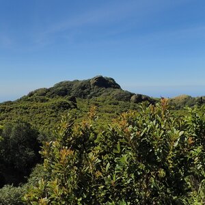 Shamot2014 on the summit of Hibok-Hibok S (27.2.2019 9:07)