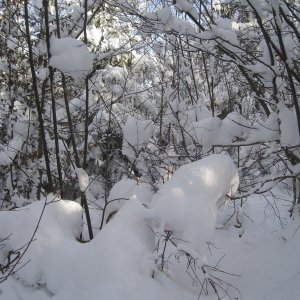 ZdenkaV on the summit of Šľapkov (12.1.2026 14:00)
