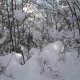 ZdenkaV na vrcholu Šľapkov (12.1.2026)