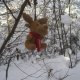 ZdenkaV na vrcholu Šľapkov (12.1.2026)