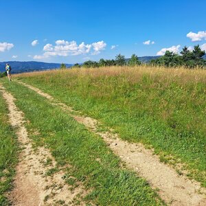 Horalka Anička na vrcholu Hájnica (29.6.2024 16:25)