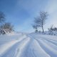ZdenkaV na vrcholu Hájnica (12.1.2026)