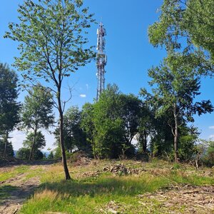 Horalka Anička na vrcholu Lazisko (29.6.2024 16:34)
