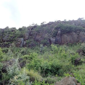 Shamot2014 on the summit of Table mountain Elmenteita (29.1.2024 15:55)